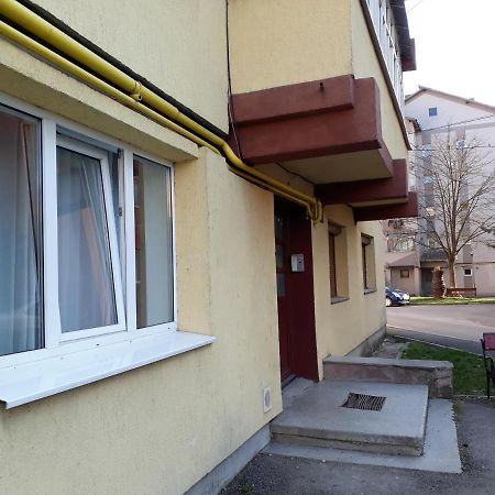 Studio Central Gura Humorului Exteriör bild