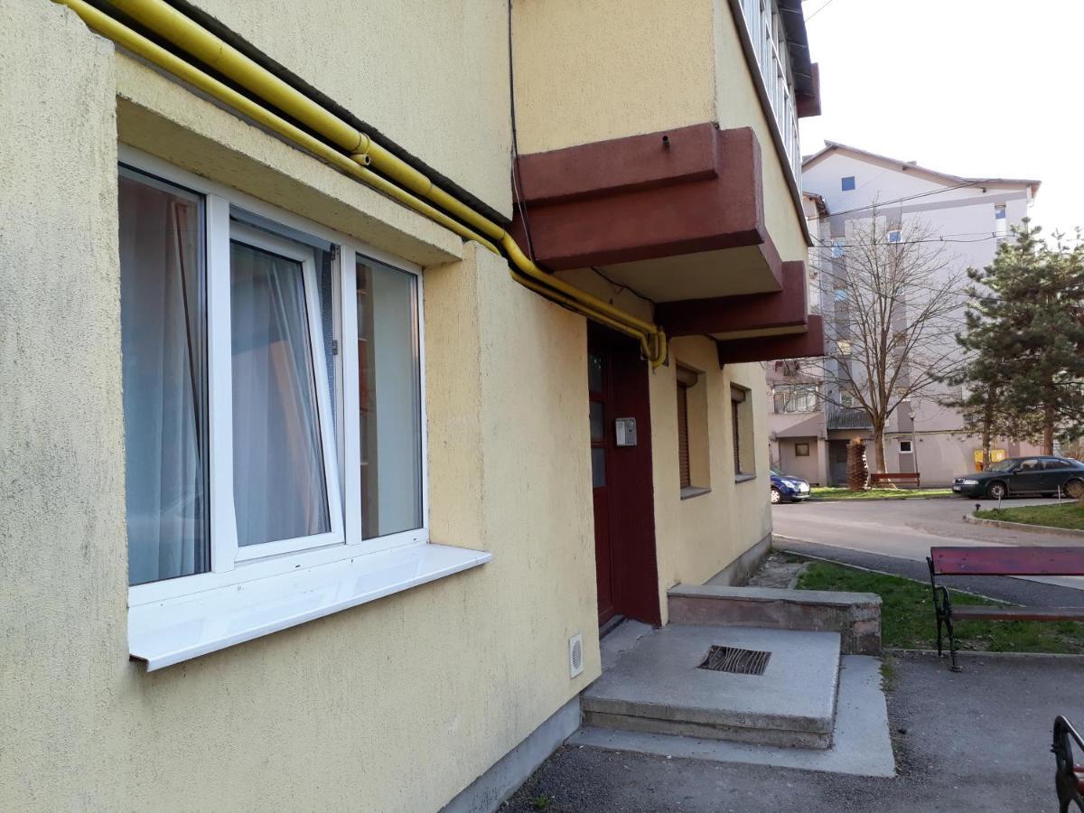 Studio Central Gura Humorului Exteriör bild